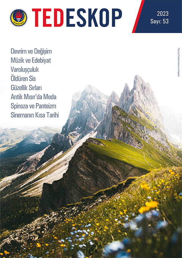 TEDESKOP 53. sayı kapağı
